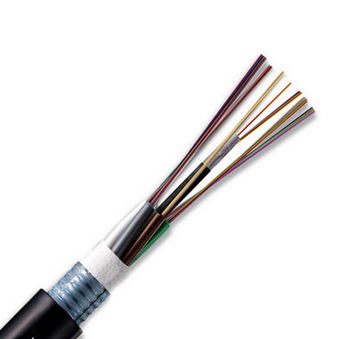 ȫ��Ʒ��12о���ⵥģ����